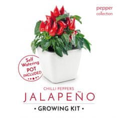 Domestico VYPĚSTUJ SI CHILLI PAPRIČKY HABANERO + JALAPEŇO, SAMOZAVLAŽOVACÍ KVĚTINÁČE BÍLÝ 13X13 CM