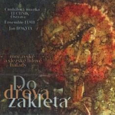 CM Technik & Flair Ensamble: Do dřeva zakletá (2x CD)