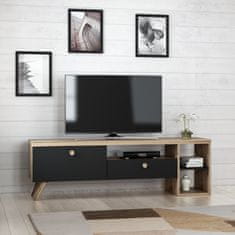 Hanah Home TV stolek Parion - Black, Černá, Dub