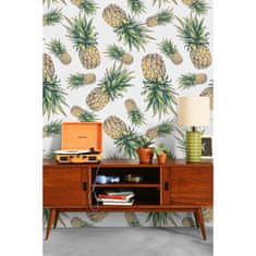 COLORAY.CZ Fototapeta Ananas z naší třídy Fototapeta Vliesová 250 x 250 cm