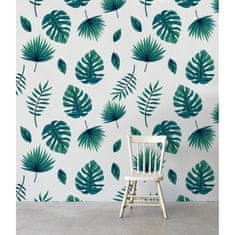 COLORAY.CZ Fototapeta Monstera jmena filodendron Fototapeta Samolepící 250 x 250 cm