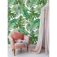 COLORAY.CZ Fototapeta Monstera přímo z džungle Fototapeta Samolepící 250 x 250 cm