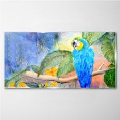 COLORAY.CZ Obraz na skle Opustí zvířecí parrot 100x50 cm