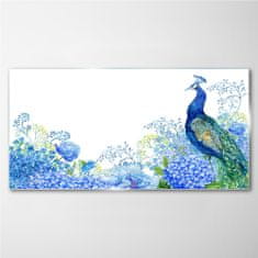 COLORAY.CZ Obraz na skle Květiny pták Peacock 120x60 cm