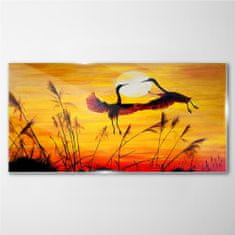 COLORAY.CZ Obraz na skle Zvířata Birds Sunset 100x50 cm