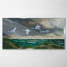 COLORAY.CZ Obraz na skle Sea Sky Birds labutě 100x50 cm