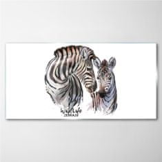 COLORAY.CZ Obraz na skle Zebra Animal Strips 120x60 cm