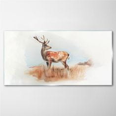 COLORAY.CZ Obraz na skle Akvarel Animal Deer 120x60 cm