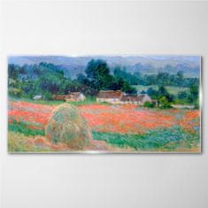 COLORAY.CZ Obraz na skle Claude mince 120x60 cm