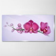 COLORAY.CZ Obraz na skle Akvarel květina větev orchidej 120x60 cm