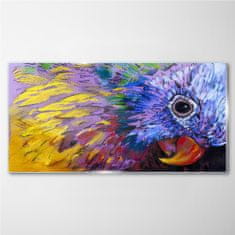 COLORAY.CZ Obraz na skle Abstraktní zvířecí parrot 100x50 cm