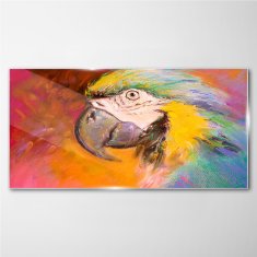 COLORAY.CZ Obraz na skle Abstraktní zvířecí parrot 100x50 cm