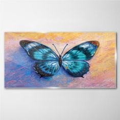 COLORAY.CZ Obraz na skle Butterfly hmyz barevný 120x60 cm