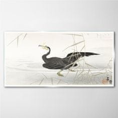 COLORAY.CZ Obraz na skle Asie Lake Animal Bird 100x50 cm