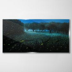 COLORAY.CZ Obraz na skle Lesní noční fireflies 120x60 cm