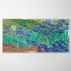 COLORAY.CZ Obraz na skle Van Gogh Irises 100x50 cm