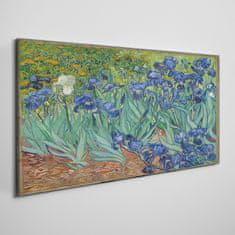 COLORAY.CZ Obraz na plátně Van Gogh Irises 120x60 cm