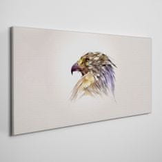 COLORAY.CZ Obraz na plátně Zvířecí pták Eagle 100x50 cm