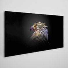 COLORAY.CZ Obraz na plátně Zvířecí pták Eagle 120x60 cm