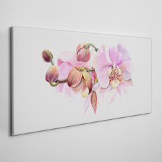 COLORAY.CZ Obraz na plátně Akvarel orchidej květina 120x60 cm