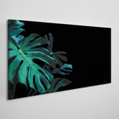 COLORAY.CZ Obraz na plátně Jungle Botany Leaf 100x50 cm