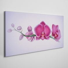 COLORAY.CZ Obraz na plátně Akvarel květina větev orchidej 120x60 cm