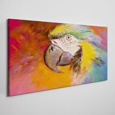 COLORAY.CZ Obraz na plátně Abstraktní zvířecí parrot 140x70 cm