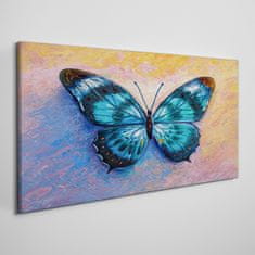 COLORAY.CZ Obraz na plátně Butterfly hmyz barevný 100x50 cm