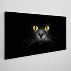 COLORAY.CZ Obraz na plátně Zvířata kočky oči 120x60 cm
