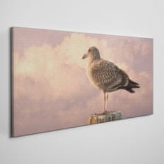 COLORAY.CZ Obraz na plátně Zvířecí pták Seagull Sky 100x50 cm