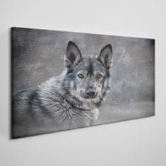 COLORAY.CZ Obraz na plátně Zimní sníh zvířecí vlka pes 120x60 cm