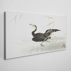 COLORAY.CZ Obraz na plátně Asie Lake Animal Bird 100x50 cm