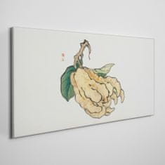 COLORAY.CZ Obraz na plátně Zelenina 100x50 cm