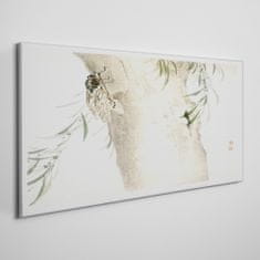 COLORAY.CZ Obraz na plátně Strom větve hmyze listy 100x50 cm