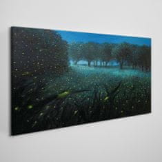 COLORAY.CZ Obraz na plátně Lesní noční fireflies 100x50 cm