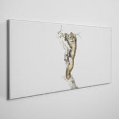 COLORAY.CZ Obraz na plátně Zvířecí veverka pobočka 120x60 cm