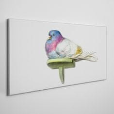 COLORAY.CZ Obraz na plátně Zvířecí pták holub 100x50 cm