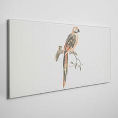 COLORAY.CZ Obraz na plátně Zvířecí pták pobočka 100x50 cm