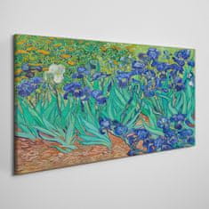 COLORAY.CZ Obraz na plátně Van Gogh Irises 120x60 cm