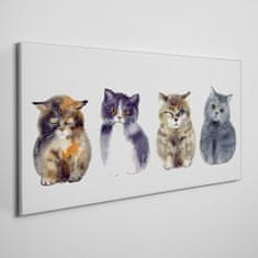 COLORAY.CZ Obraz na plátně Zvířata Akvarel kočky 100x50 cm