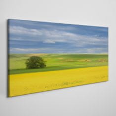 COLORAY.CZ Obraz na plátně Květiny Hill Sky 100x50 cm