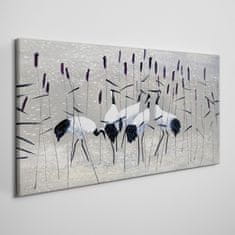 COLORAY.CZ Obraz na plátně Zvířata Birds Cane 100x50 cm