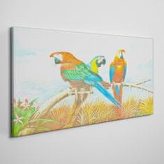 COLORAY.CZ Obraz na plátně Zvířecí ptáci papoušek mraky 120x60 cm