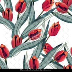 COLORAY.CZ Fototapeta Okouzlující tulipány Fototapeta Samolepící 250 x 250 cm