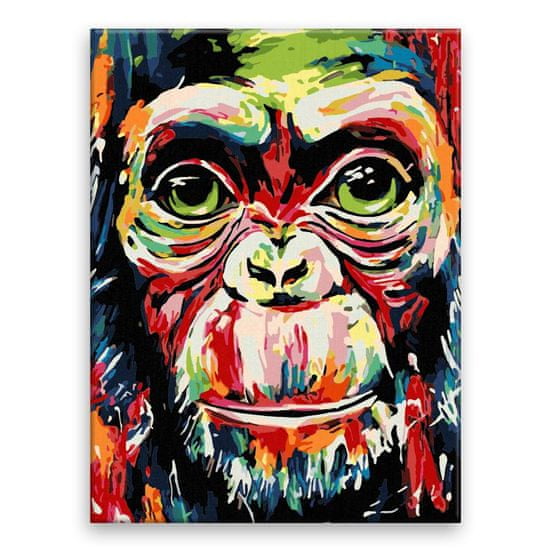 Malujsi Malování podle čísel - Barevná opice - 30x40 cm, plátno vypnuté na rám