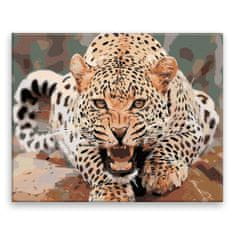 Malujsi Malování podle čísel - Rozzuřený leopard - 100x80 cm, plátno vypnuté na rám