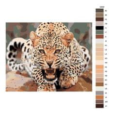 Malujsi Malování podle čísel - Rozzuřený leopard - 100x80 cm, plátno vypnuté na rám