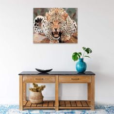 Malujsi Malování podle čísel - Rozzuřený leopard - 100x80 cm, plátno vypnuté na rám