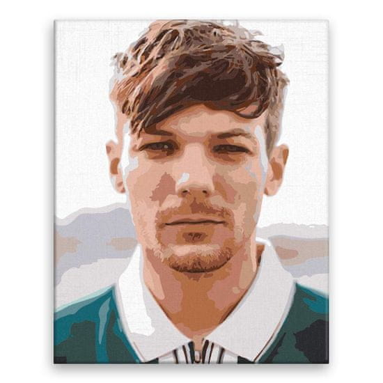 Malujsi Malování podle čísel - Louis Tomlinson 02 - 40x50 cm, bez dřevěného rámu