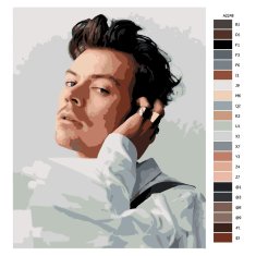 Malujsi Malování podle čísel - Harry Styles 02 - 80x100 cm, plátno vypnuté na rám